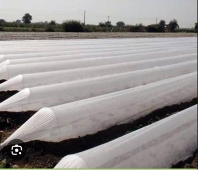 Crop Cover - 1.6 MTR x 625MTR